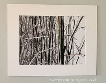 Load image into Gallery viewer, In The Bulrushes