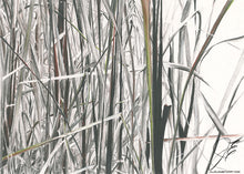 Load image into Gallery viewer, In The Bulrushes